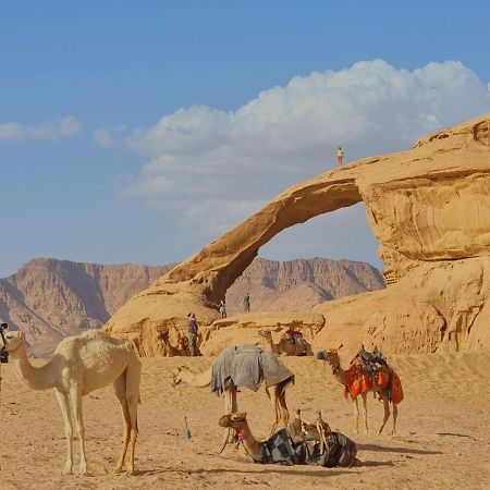 Wadi Rum Desert Camp Dış mekan fotoğraf