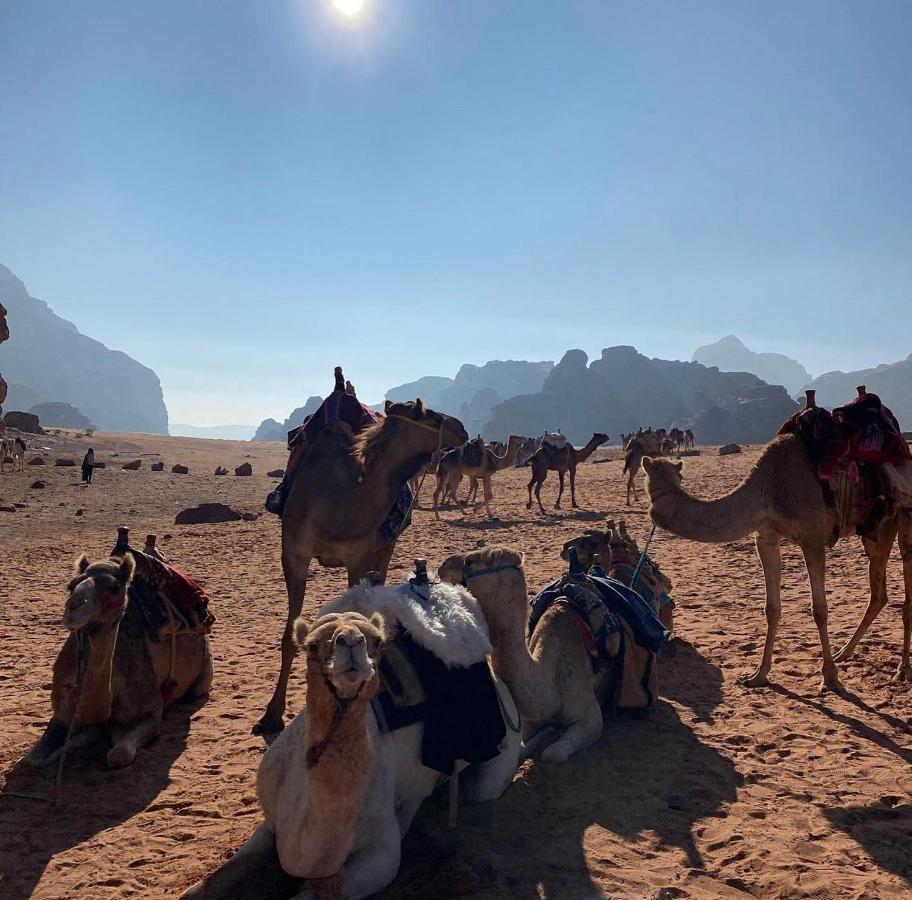 Wadi Rum Desert Camp Dış mekan fotoğraf