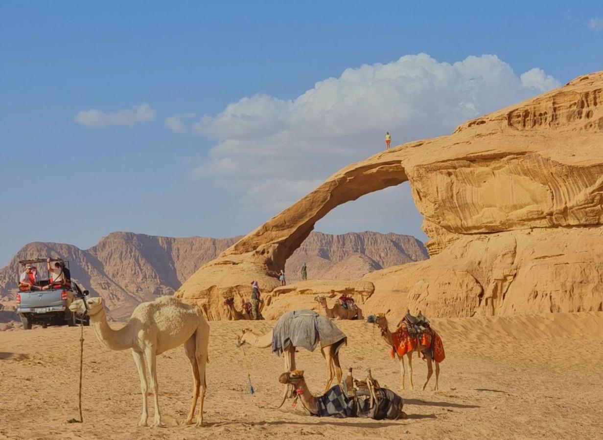 Wadi Rum Desert Camp Dış mekan fotoğraf