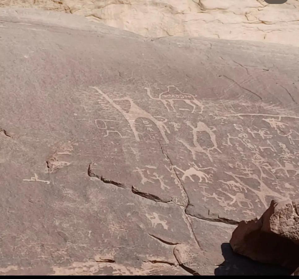 Wadi Rum Desert Camp Dış mekan fotoğraf