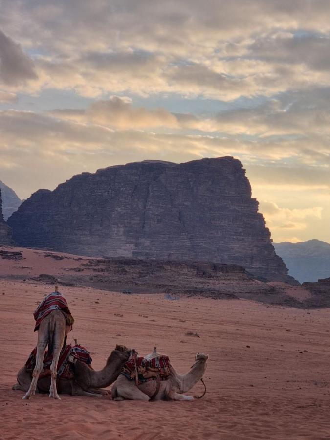 Wadi Rum Desert Camp Dış mekan fotoğraf