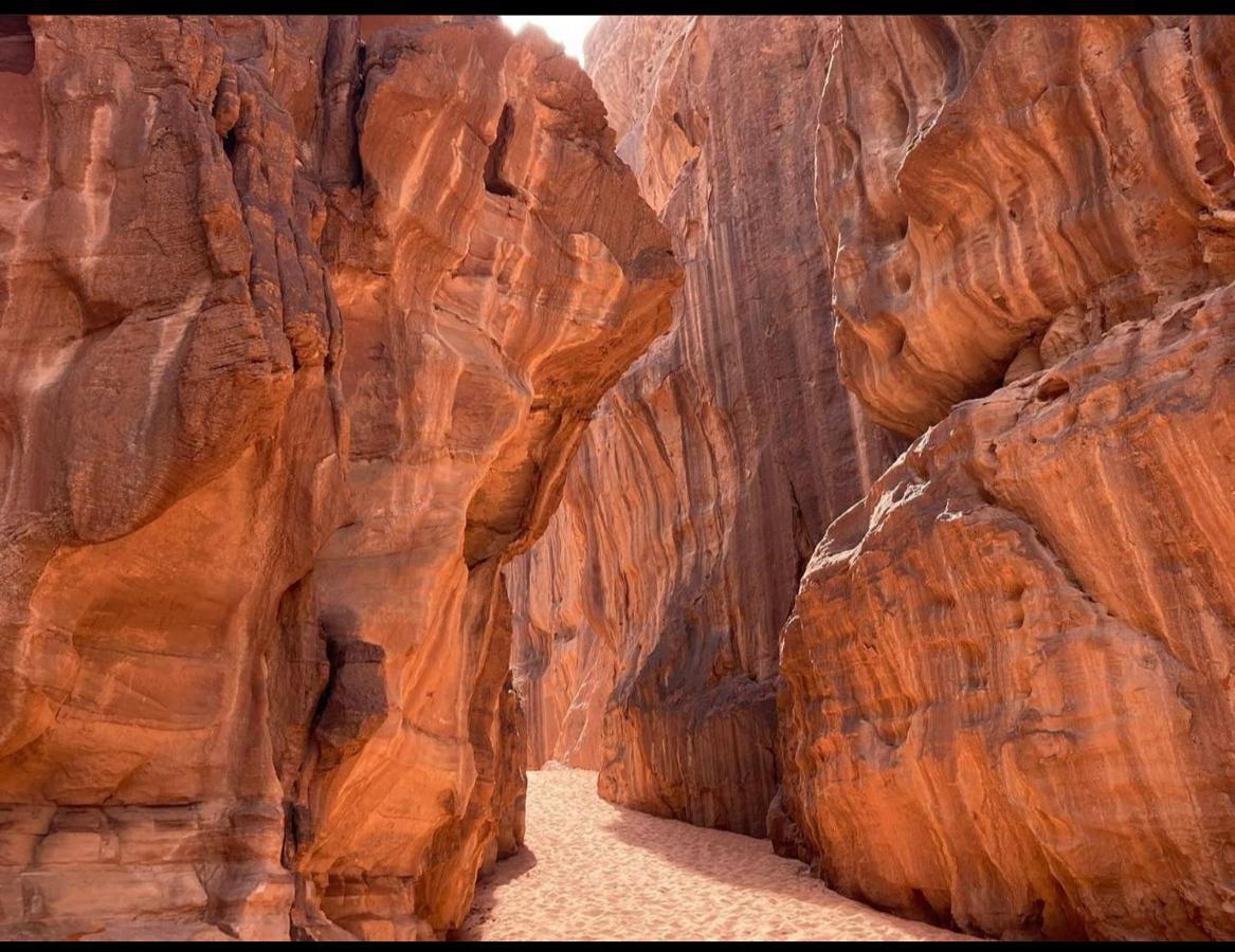 Wadi Rum Desert Camp Dış mekan fotoğraf
